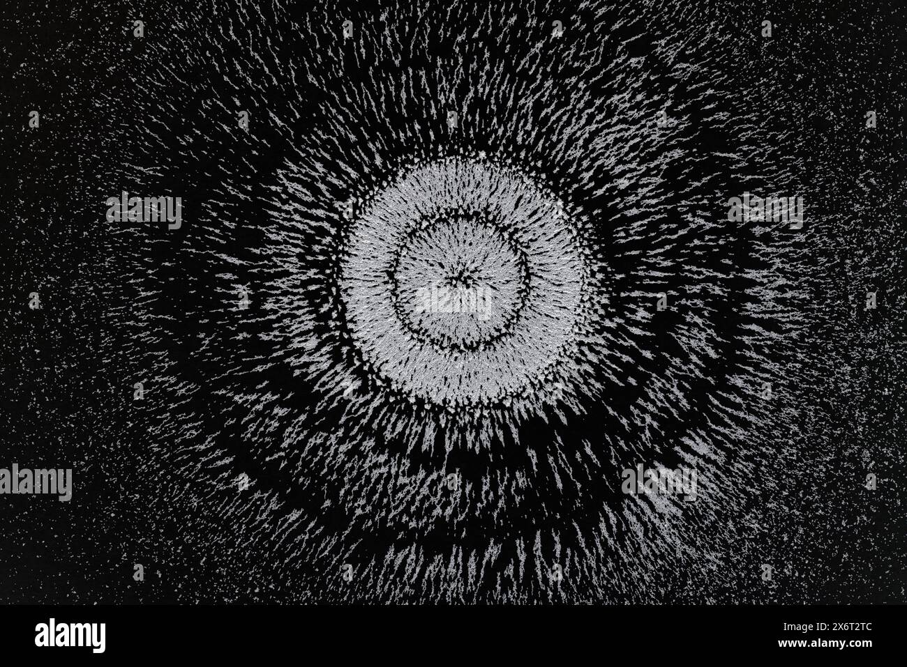 fields around a loudspeaker used with electricity to generate