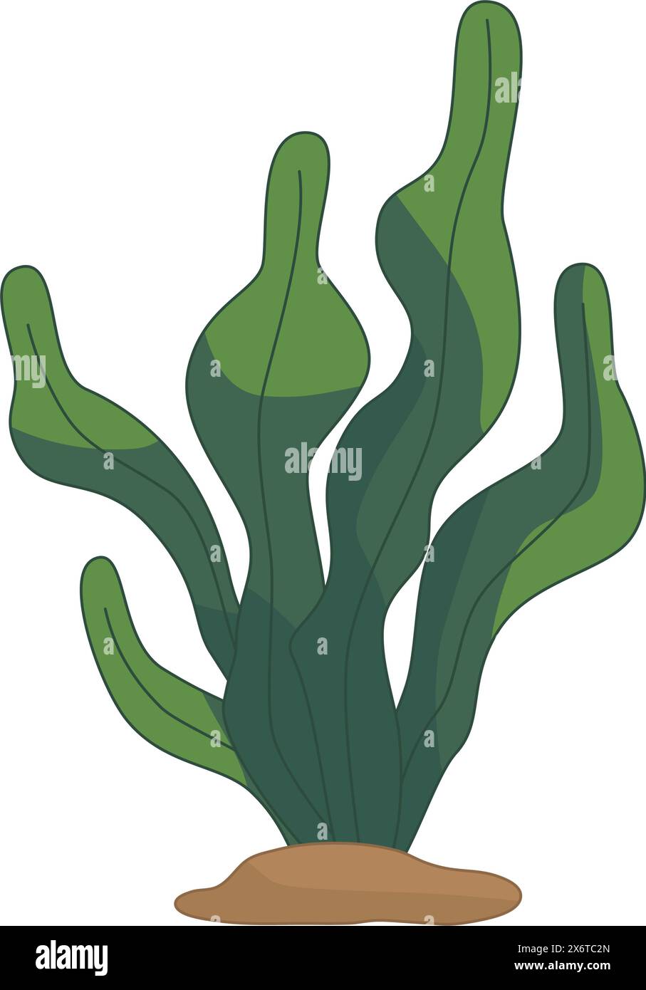 Algae icon isolated on white background. Vector illustration Stock Vector