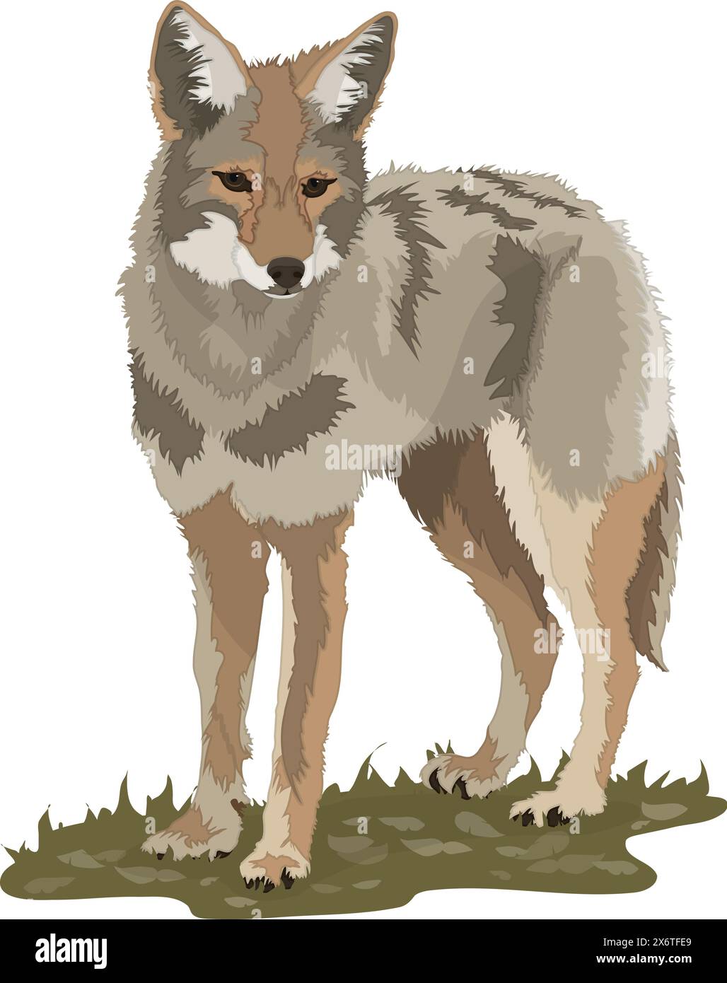 coyote nike sfb boots