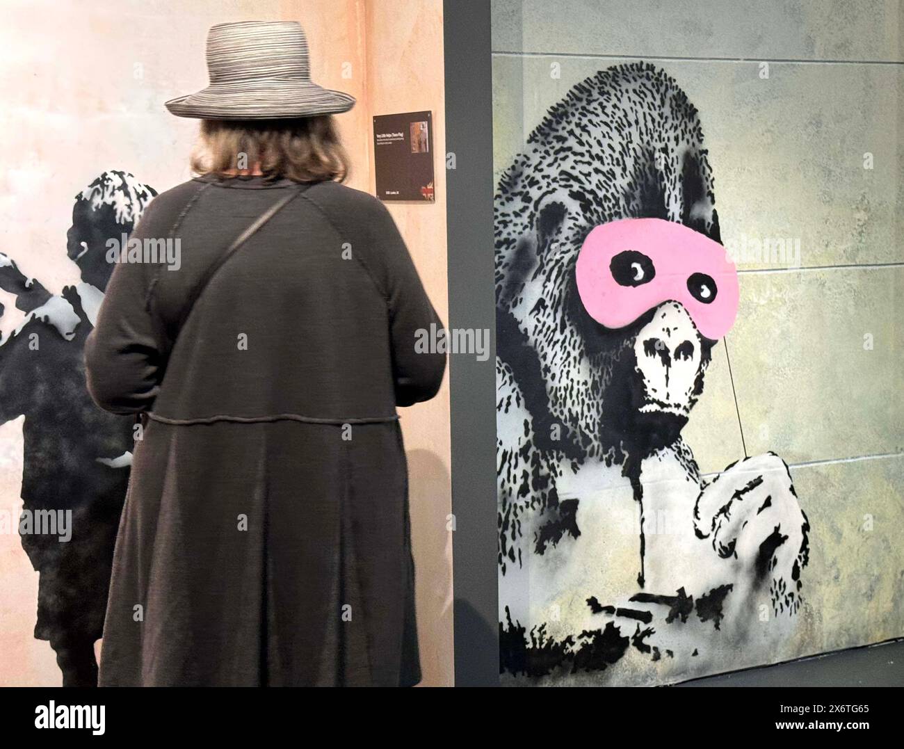Gorilla in a pink mask hi-res stock photography and images - Alamy
