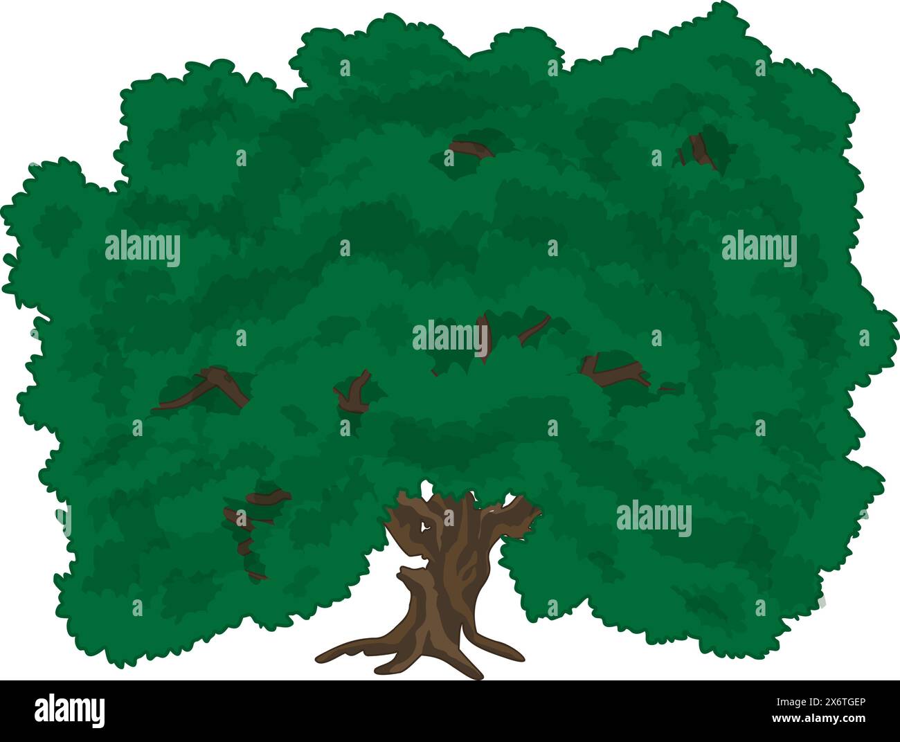 The Old Oak Bioscoop Old compton Stock Vector Images - Alamy
