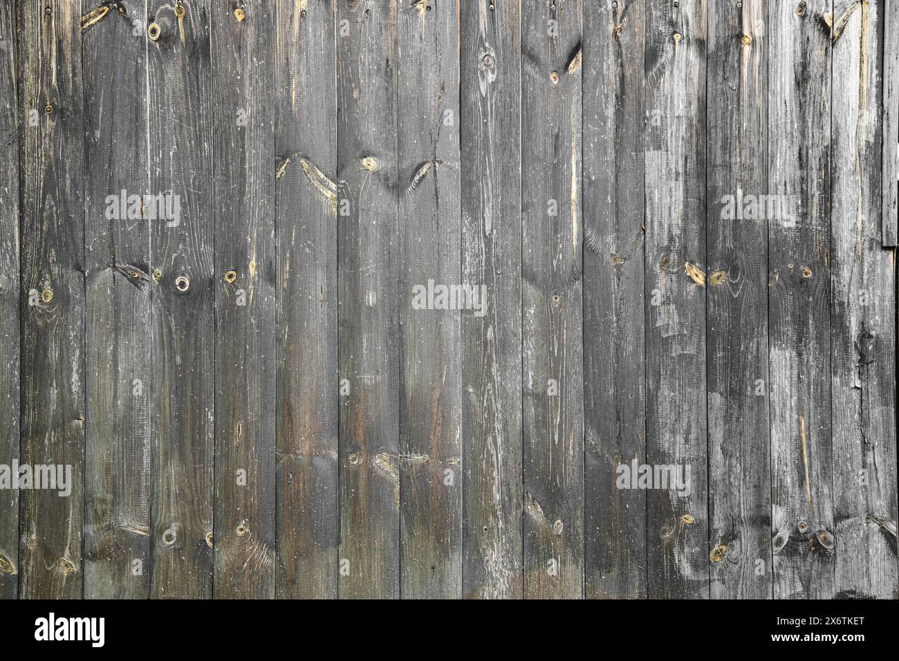 Brown wood texture background from natural tree Stock Photo - Alamy