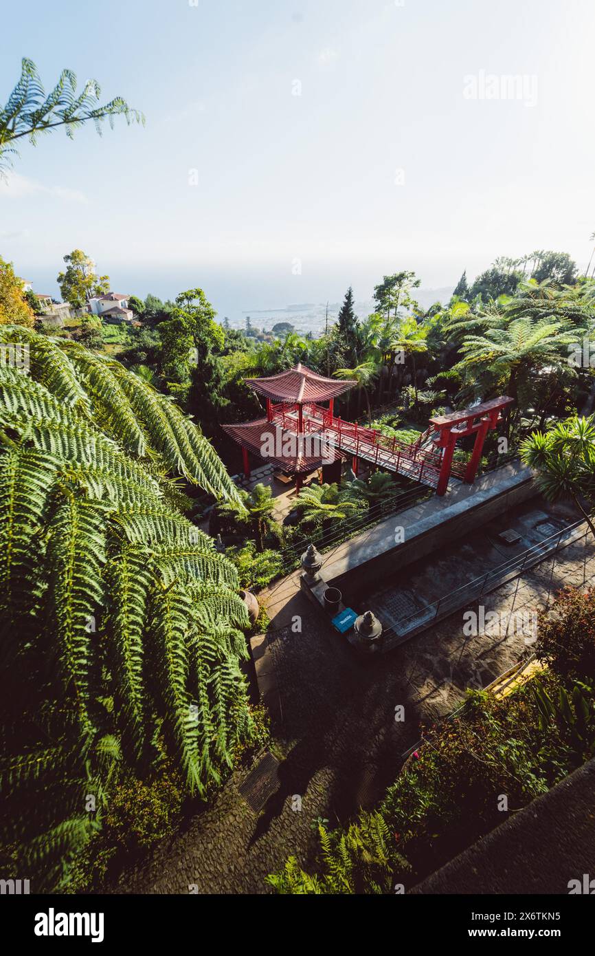 Red bridge in the middle of a tropical forest with a view of the sea in the distance. Madeira, Portugal Stock Photo