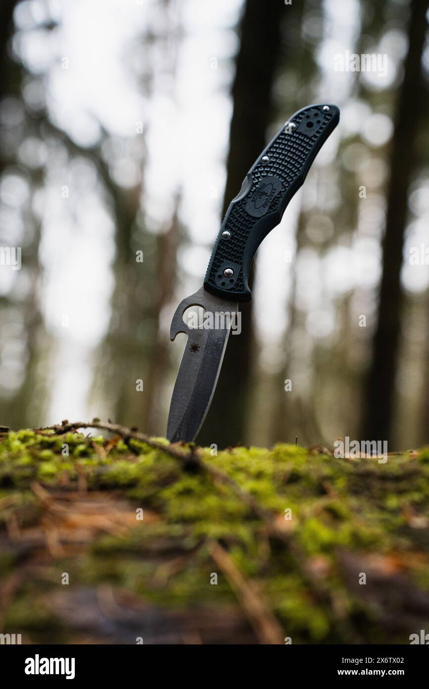 A knife stuck in a stump. Stock Photo