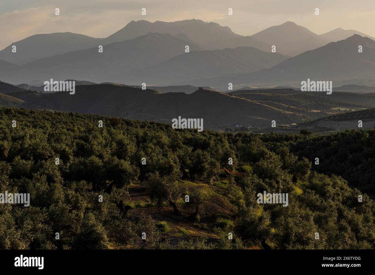 silhouette of the Sierra Nevada National Park from Toya castle, Jaén province, Andalusia, Spain. Stock Photo