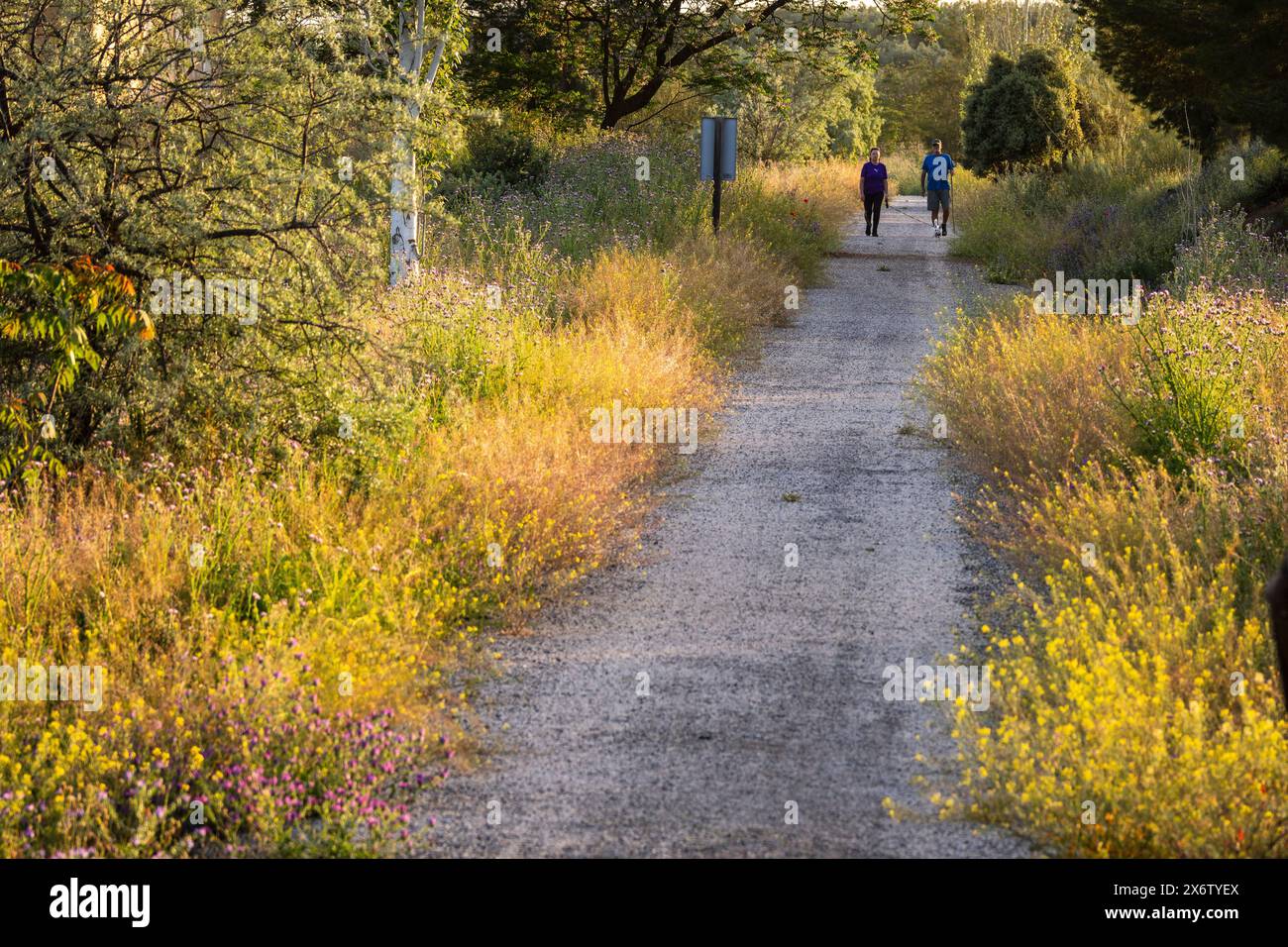 hikers traveling Greenway of Oil Natural Trail, Alcaudete, Jaén province, Andalusia, Spain. Stock Photo
