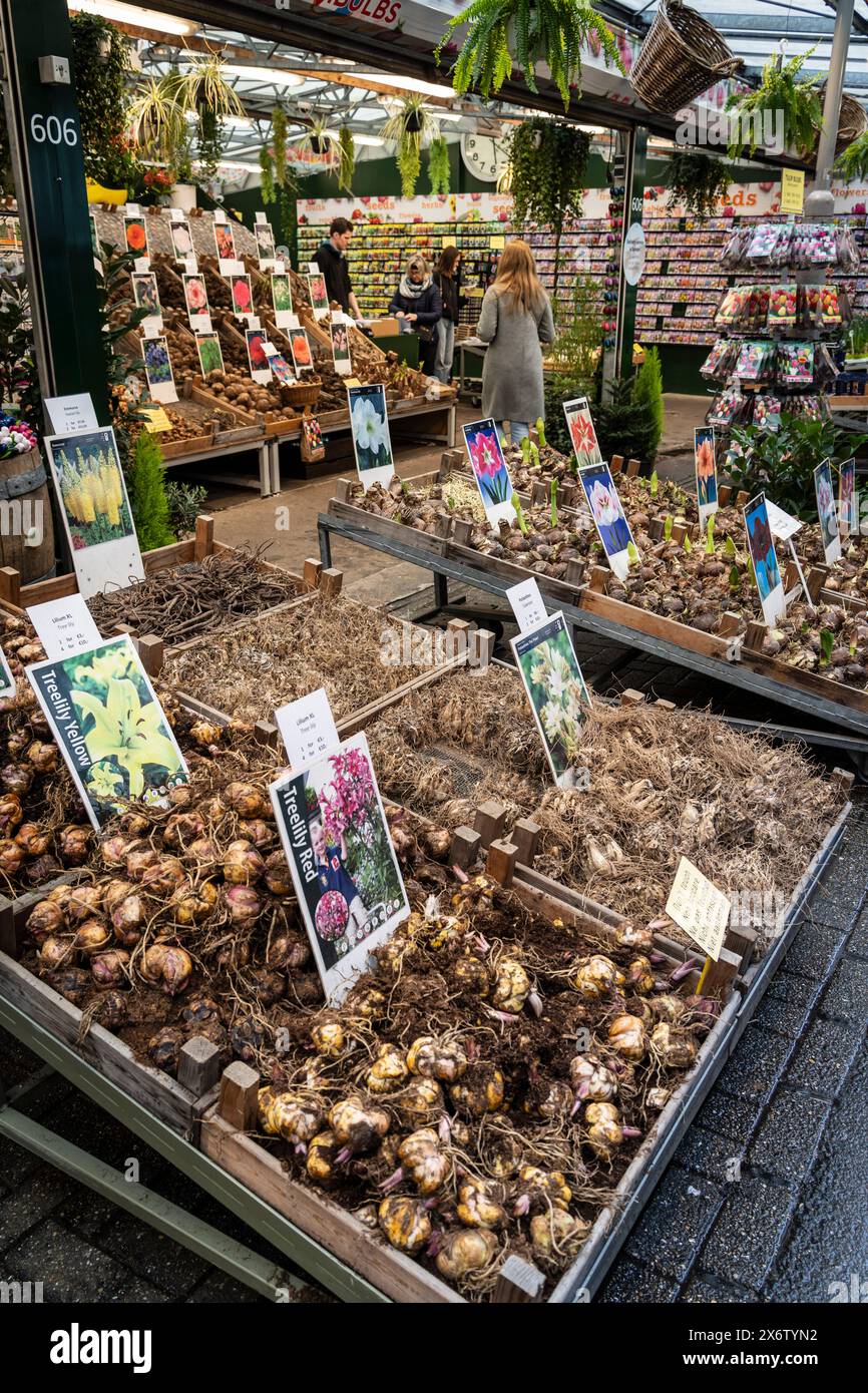 bulbs, Flower Market -Bloemenmarkt-, Singel canal, Amsterdam, Netherlands. Stock Photo