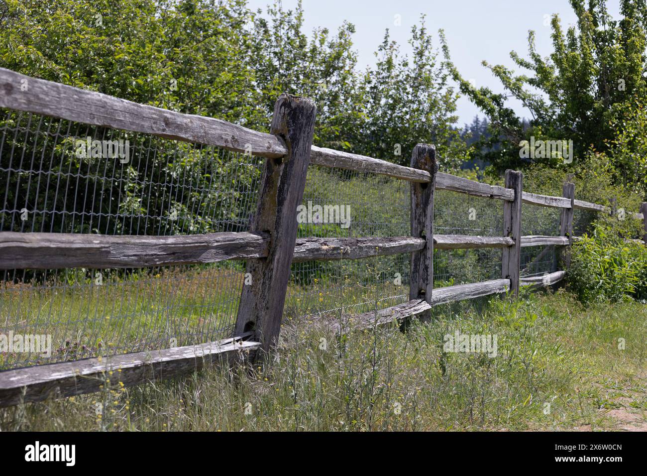 Picket fence gate hi-res stock photography and images - Alamy