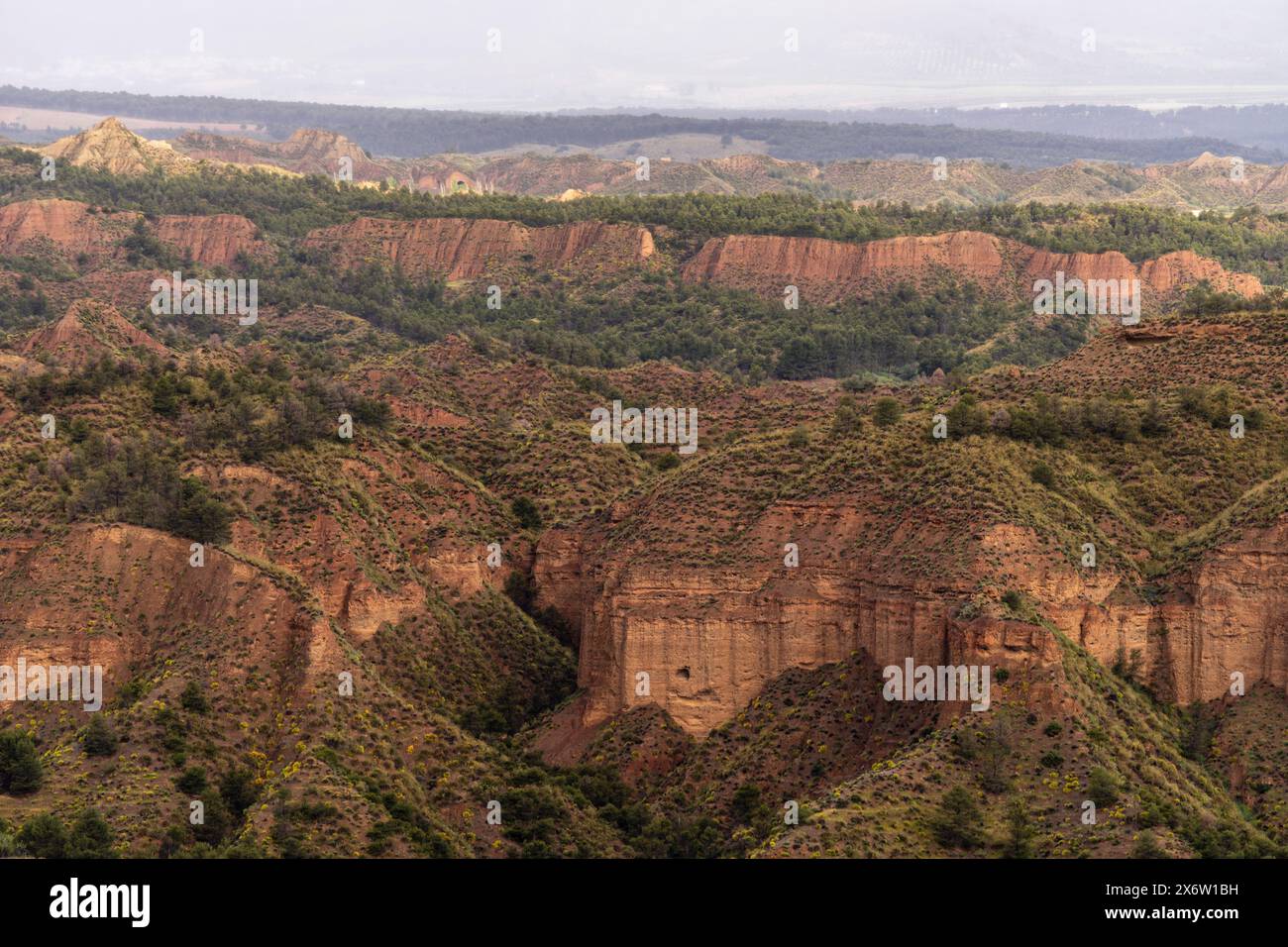 Cárcavas de Marchal, Granada Geopark, UNESCO World Geopark, Betic Mountain Range, Andalusia, Spain. Stock Photo
