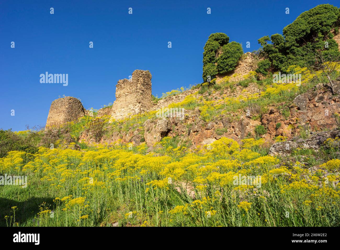 castle ruins, Riópar Viejo ,Albacete province, Castilla-La Mancha, Spain. Stock Photo