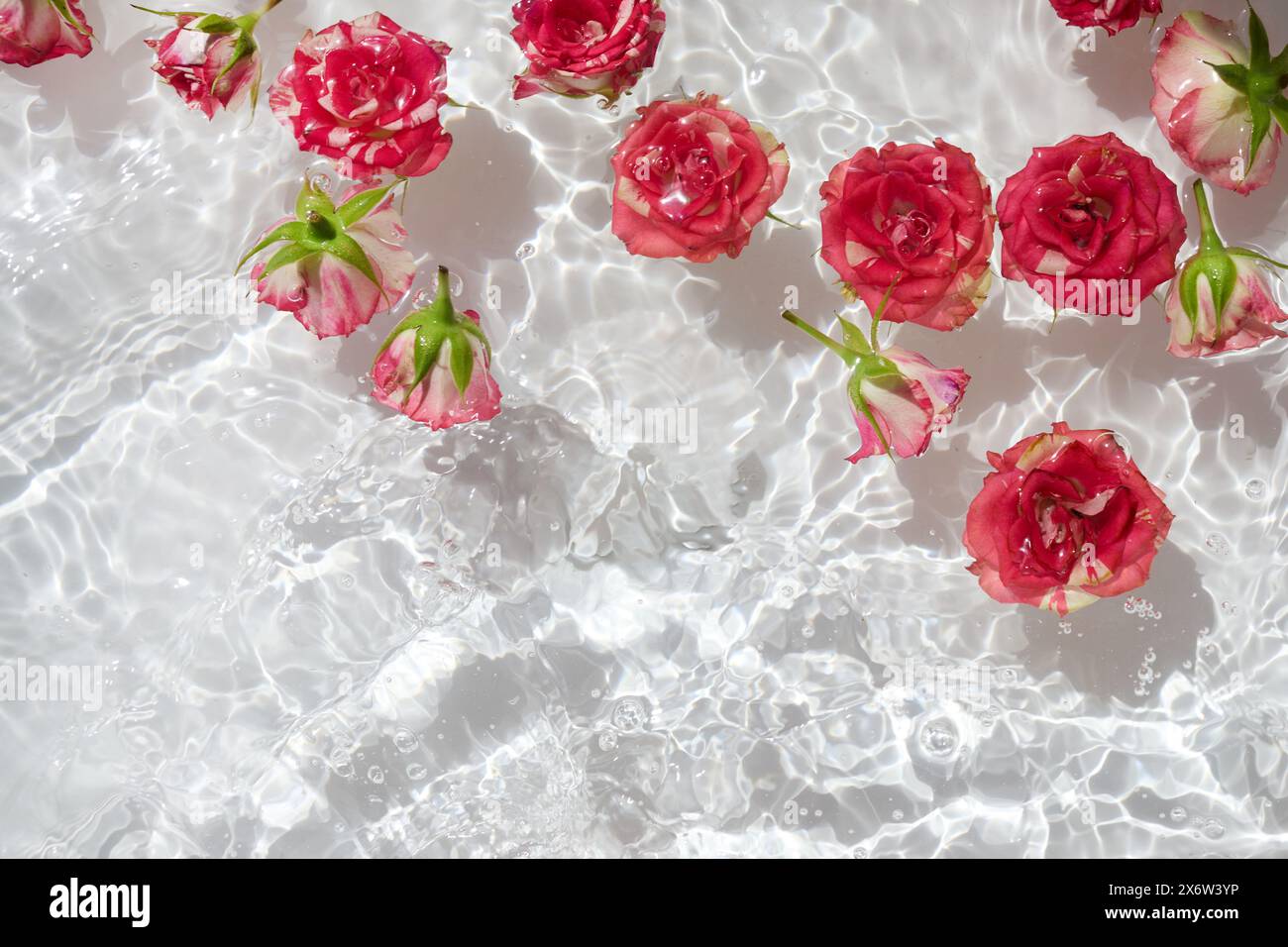 Spa, cosmetic background. Floating Pink Roses in Sparkling ...