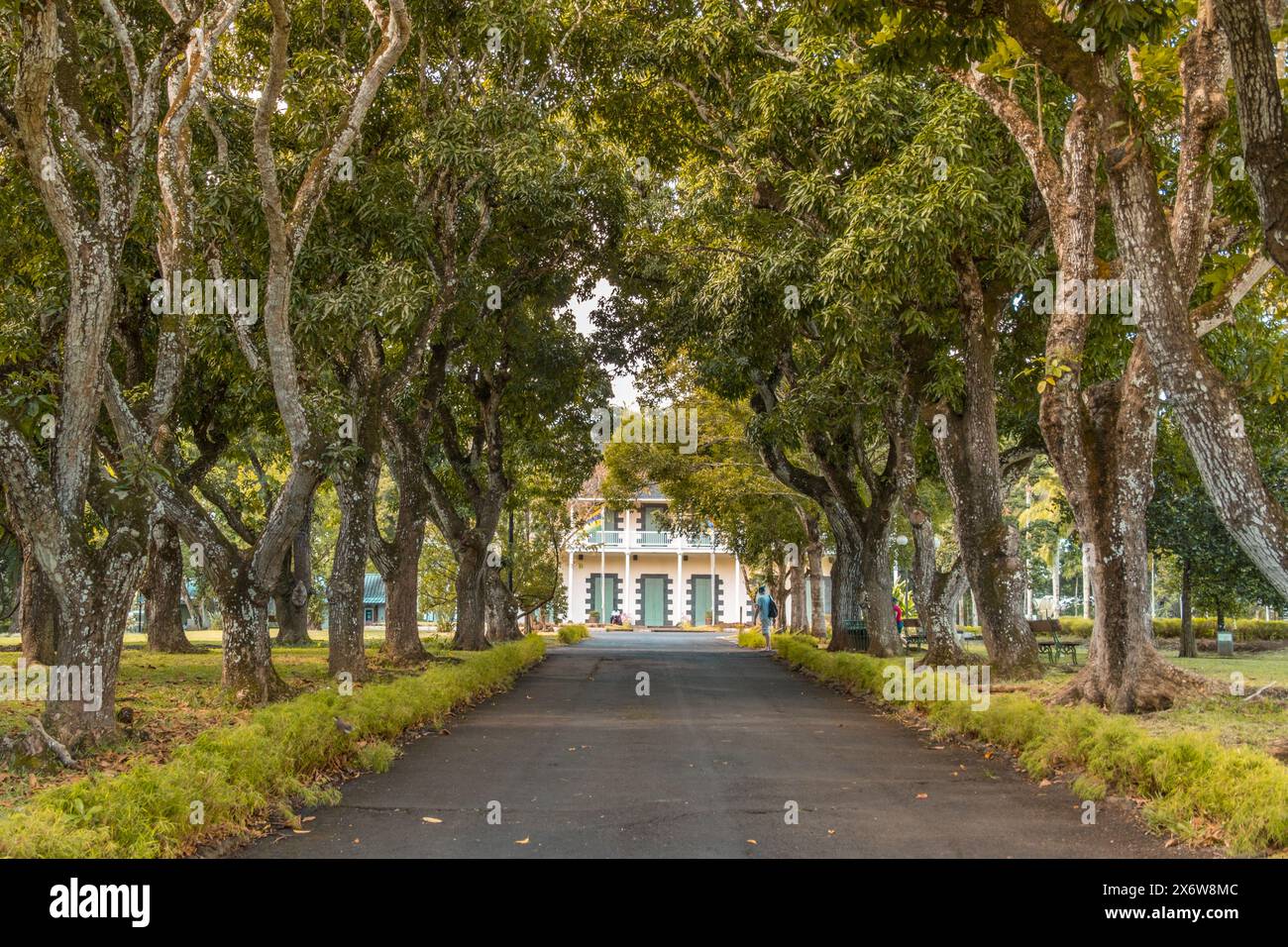 Pamplemousse botanical gardens in Mauritius Stock Photo