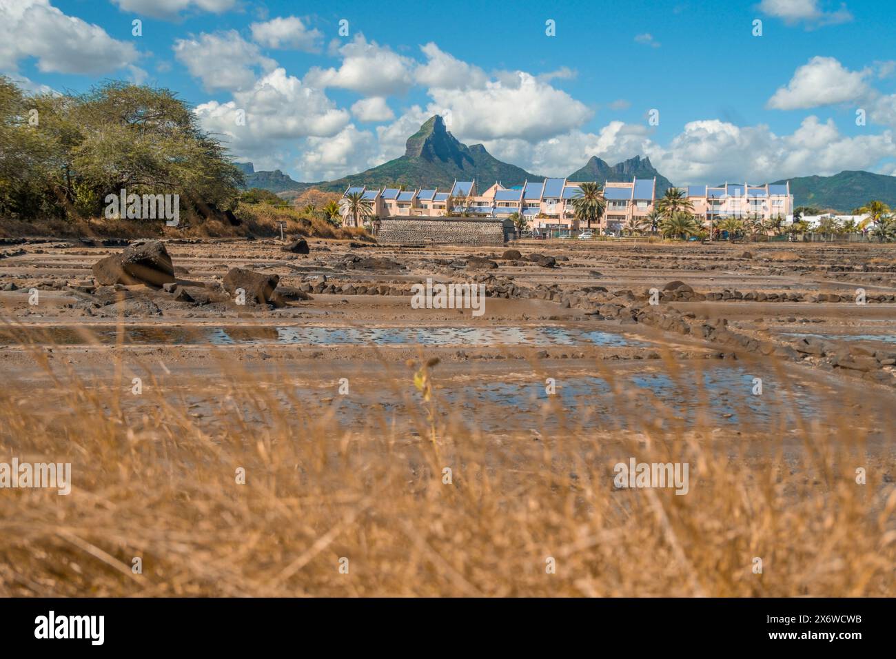 View from the Salines de Yemen Tamarin in Mauritius Stock Photo