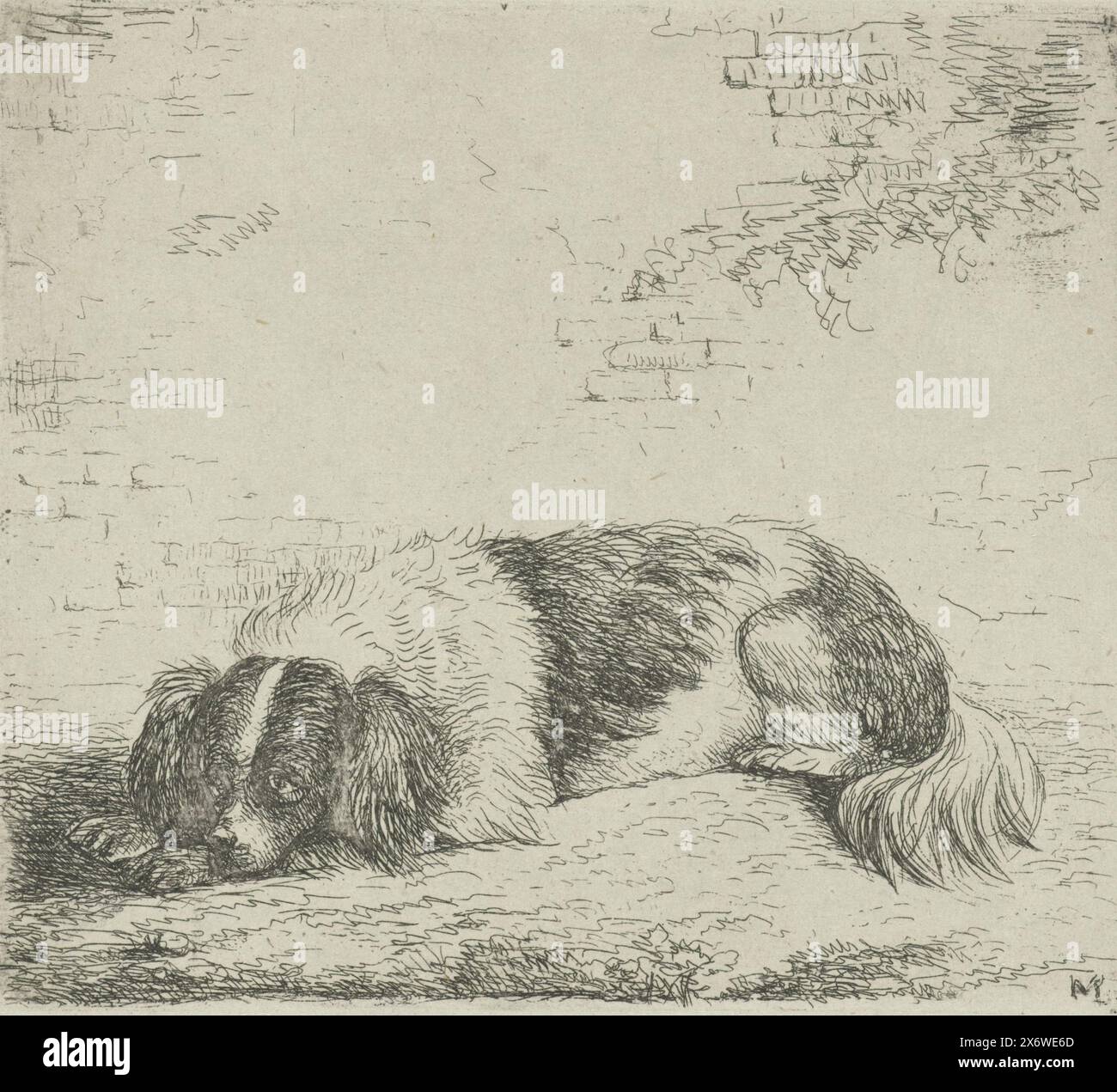 Lying dog to the left, A lying dog, to the left, in front of a wall., print, print maker: Christiaan Wilhelmus Moorrees, (mentioned on object), after own design by: Christiaan Wilhelmus Moorrees, Netherlands, 1811 - 1867, paper, etching, height, 80 mm × width, 90 mm Stock Photo