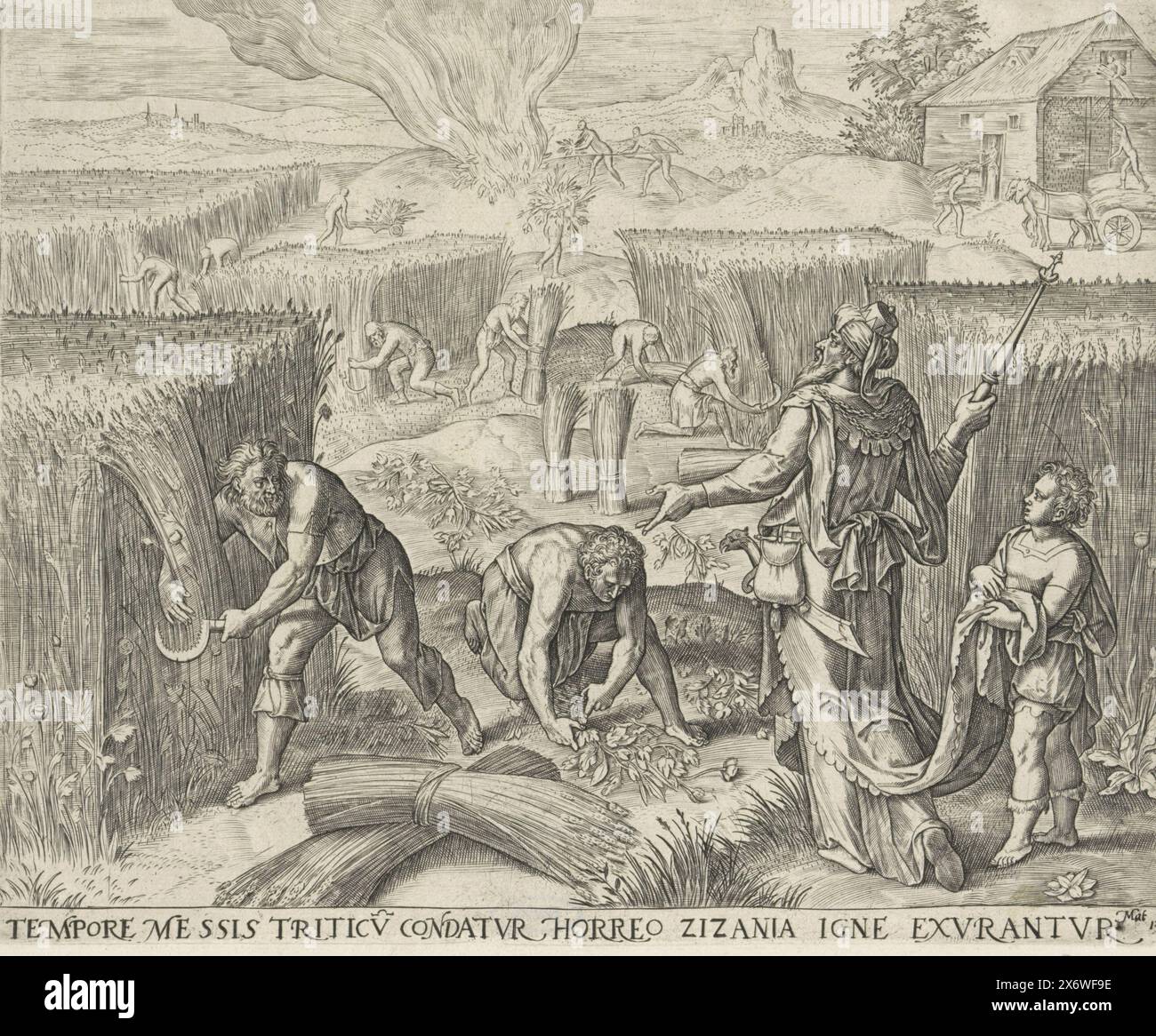 Burning the weeds and reaping the grain, Parable of the sower (series ...