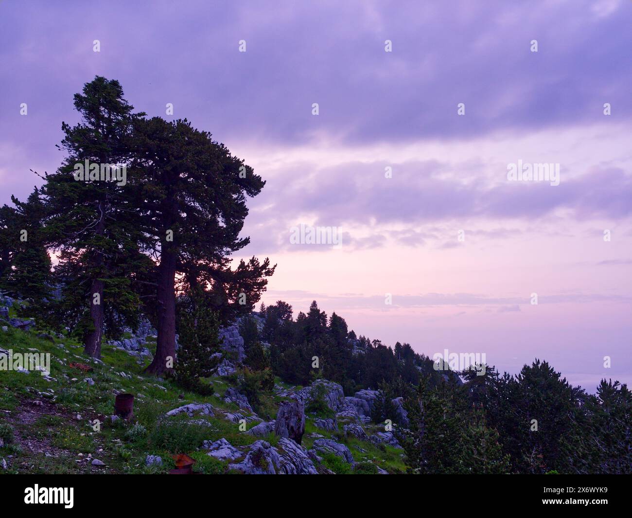 Environmental high quality hi-res stock photography and images - Alamy