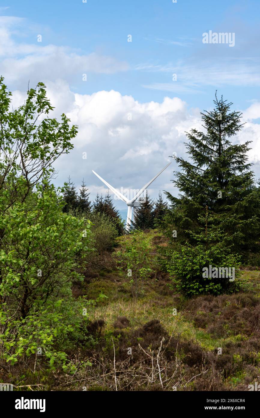 Single wind turbine stands tall behind lush green trees under a cloudy ...
