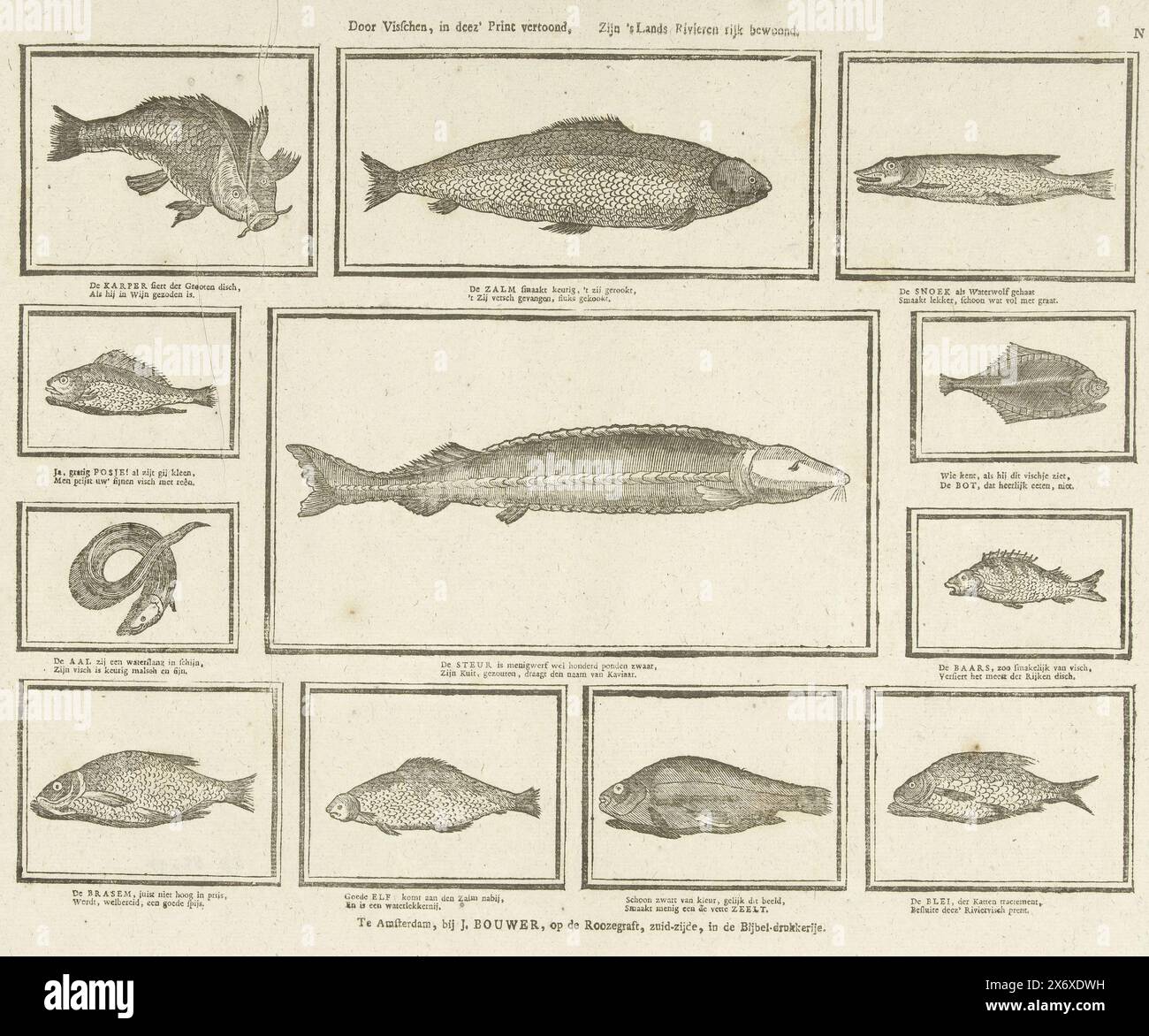 By fish, shown in this print, The country's rivers are richly inhabited (title on object), Sheet with 12 representations of freshwater fish (except the flounder). Below each image a two-line verse with the name of the animal. Numbered top right: N., print, publisher: Johannes Bouwer, (mentioned on object), print maker: anonymous, publisher: Amsterdam, print maker: Netherlands, 1805 - 1808, paper, letterpress printing, height, 335 mm × width, 410 mm Stock Photo