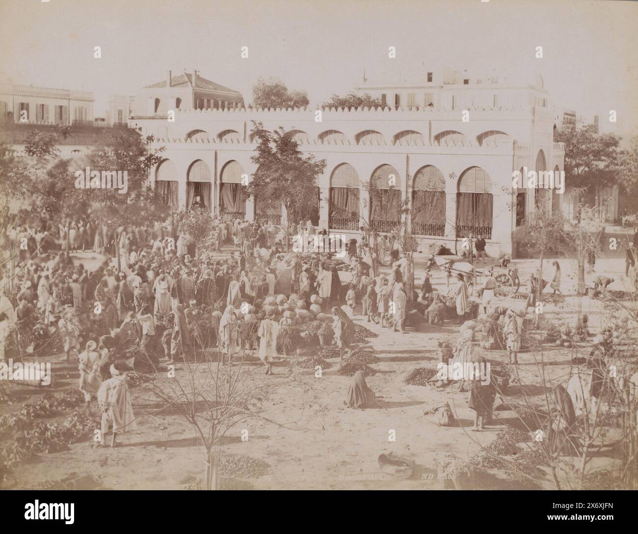 Discover European Flavors at Marche Cotier in Fernandina Beach | TikTok, image size:1300x1087