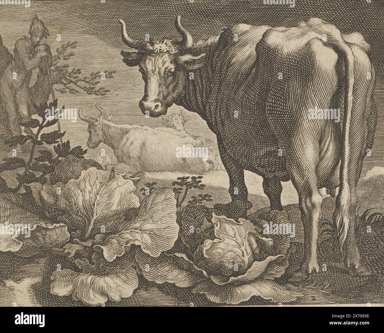 Cows, Pastorals (series title), numbered bottom right: 2., print, print maker: Boëtius Adamsz. Bolswert, after design by: Abraham Bloemaert, publisher: Wilhelmus Koning, (possibly), Amsterdam, 1611 - 1632 and/or c. 1717 - 1732, paper, engraving, height, 113 mm × width, 144 mm Stock Photo