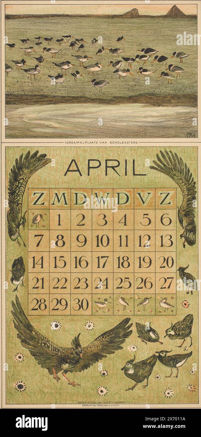 Calendar Sheet For April 1912 With Oystercatchers And Lapwings calendar-sheet-for-april-1912-with-oystercatchers-and-lapwings