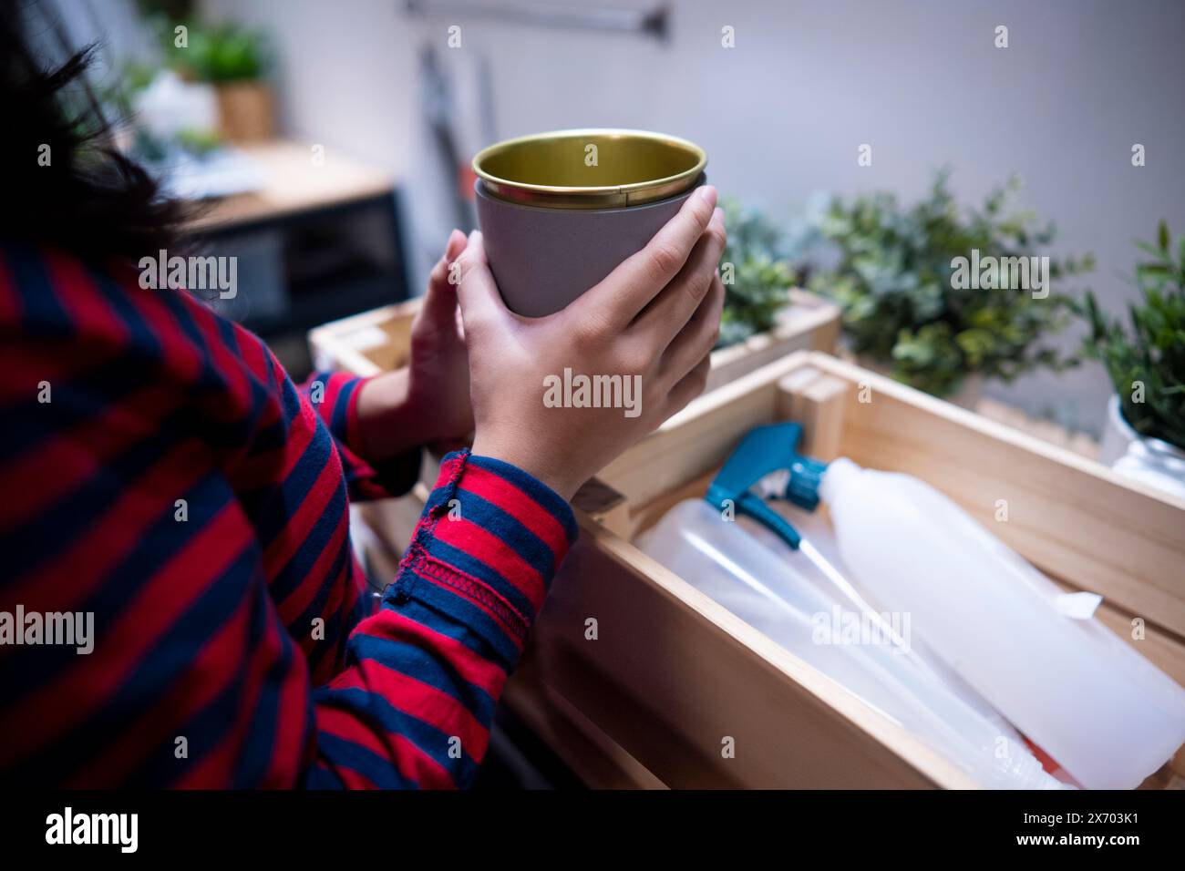 Indonesian teenage girl arranging and planting mini fresh plant in the backyard at home.  Asian female student gardening with joy and responbility to Stock Photo