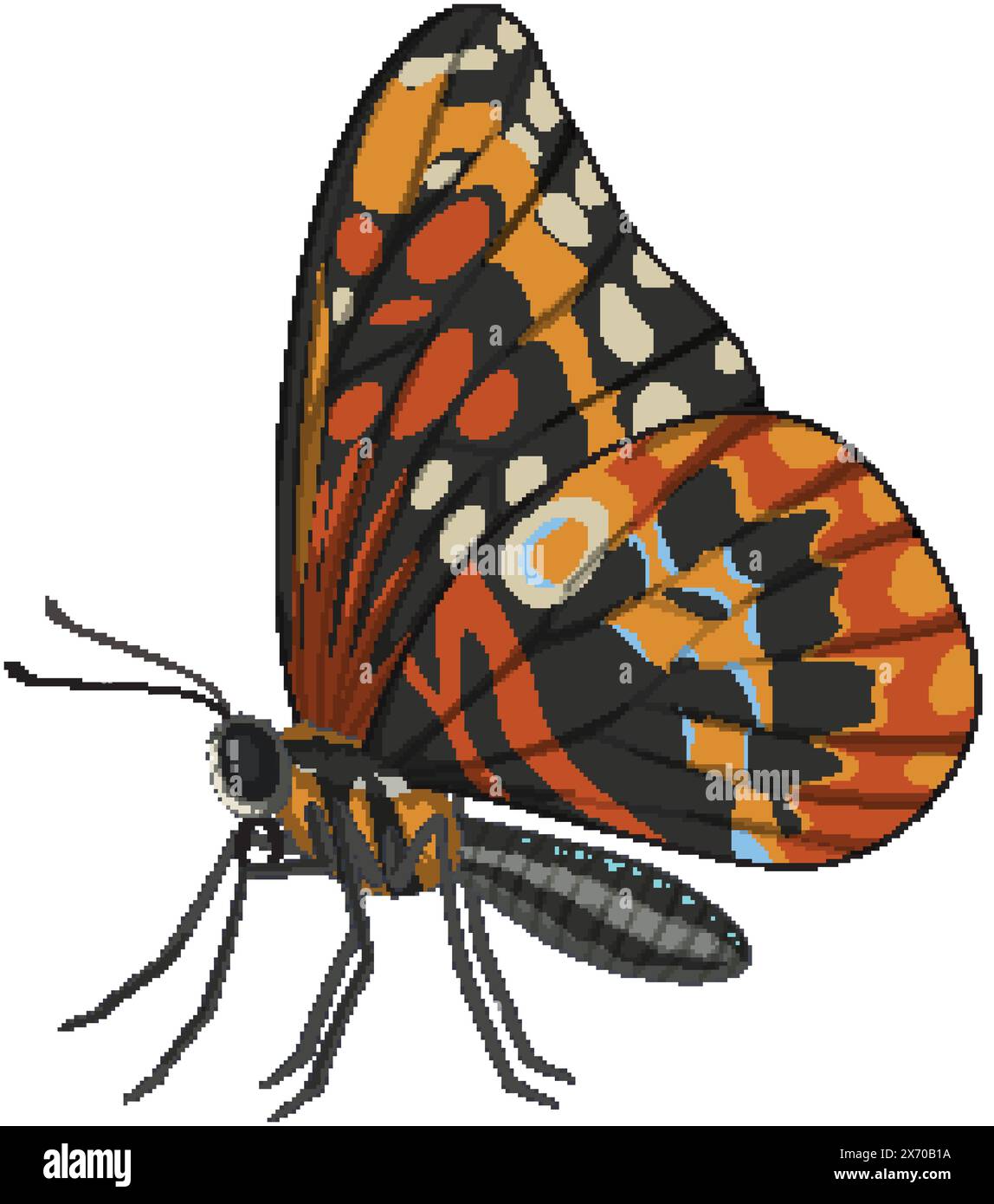 Vibrant vector art of a detailed butterfly Stock Vector Image & Art - Alamy