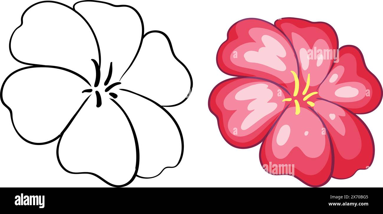 Two flowers, one simple and one detailed Stock Vector Image & Art - Alamy