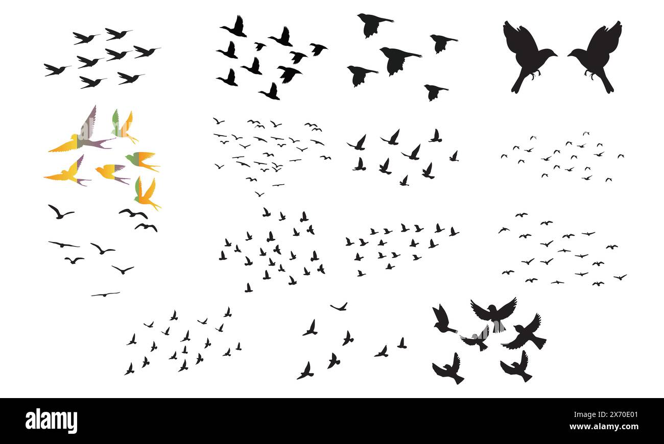 Flying Birds Vector And Illustration Collection. Stock Vector