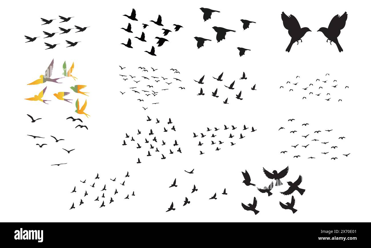 Bird vector vectors hi-res stock photography and images - Alamy