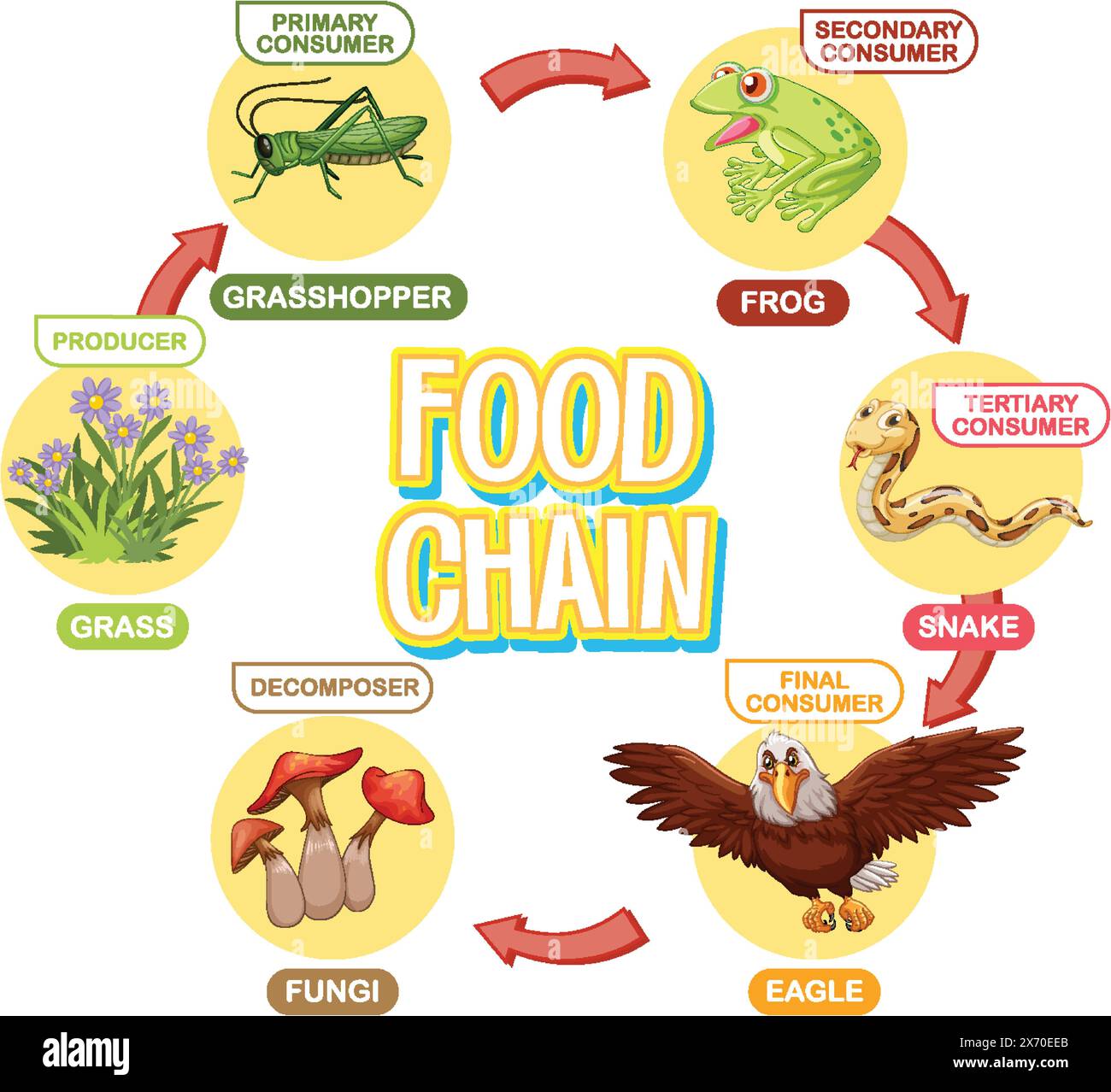 Canadian goose food web deals