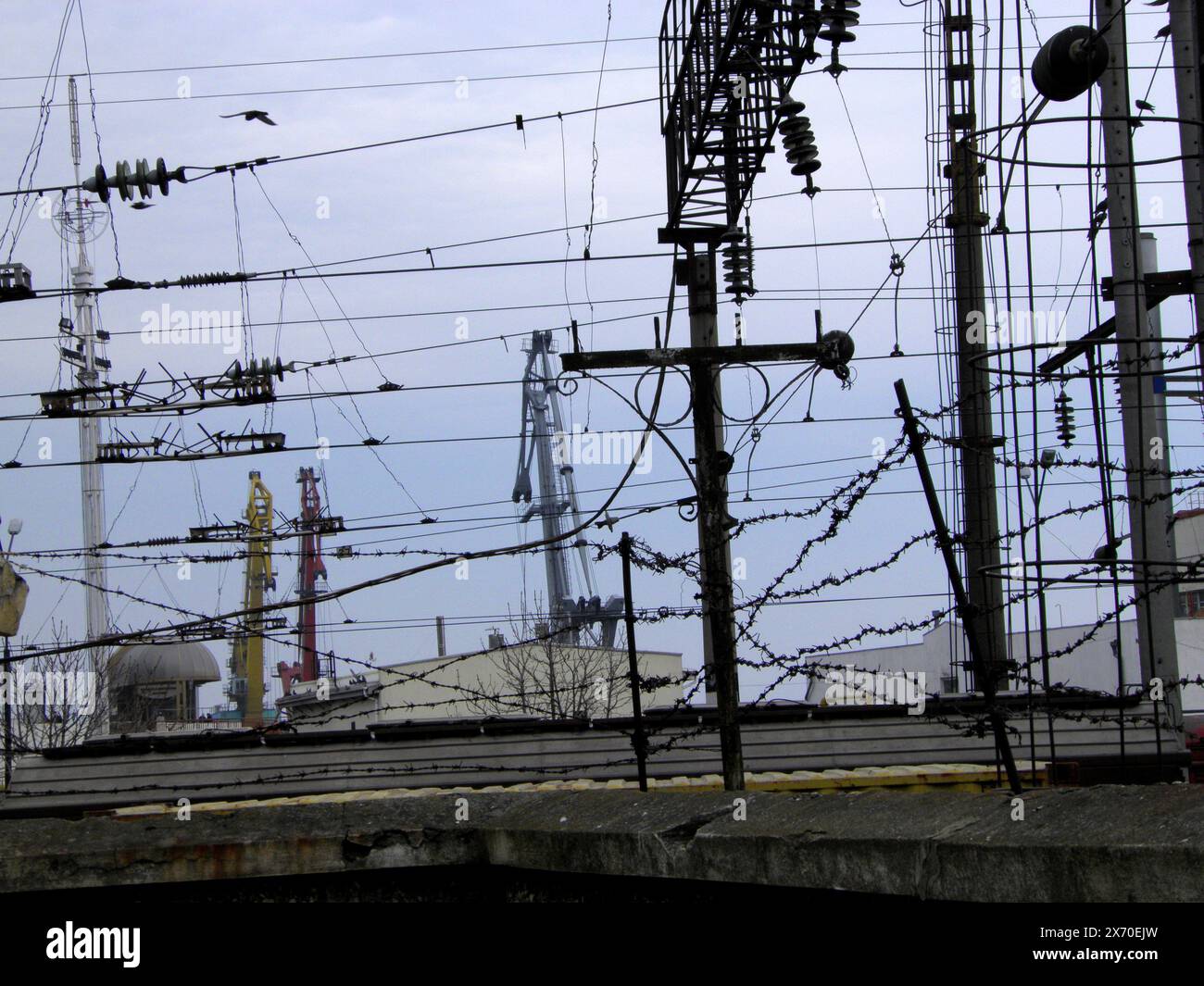 Photo of urban details. Electric poles and wires. In background is sky, buildings, construction cranes. Bird flies, barbed wire. Sky is overcast, gloo Stock Photo