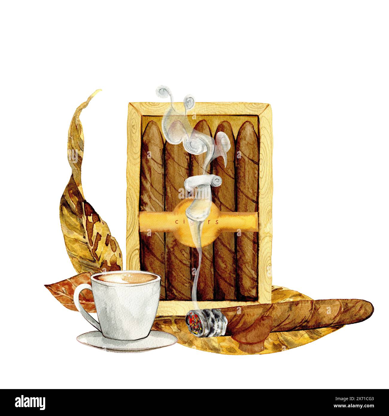 cigars and coffee with tobacco leaves drawn in watercolor, for cards,  posters, clipart Stock Photo