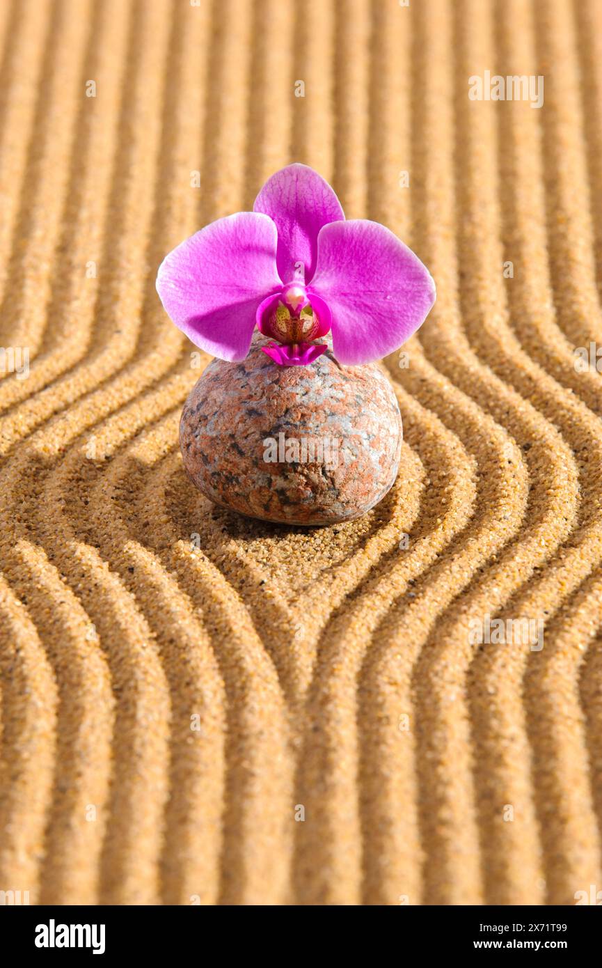 Zen Garten der Ruhe und Entspannung Steine in strukturiertem Sand als
