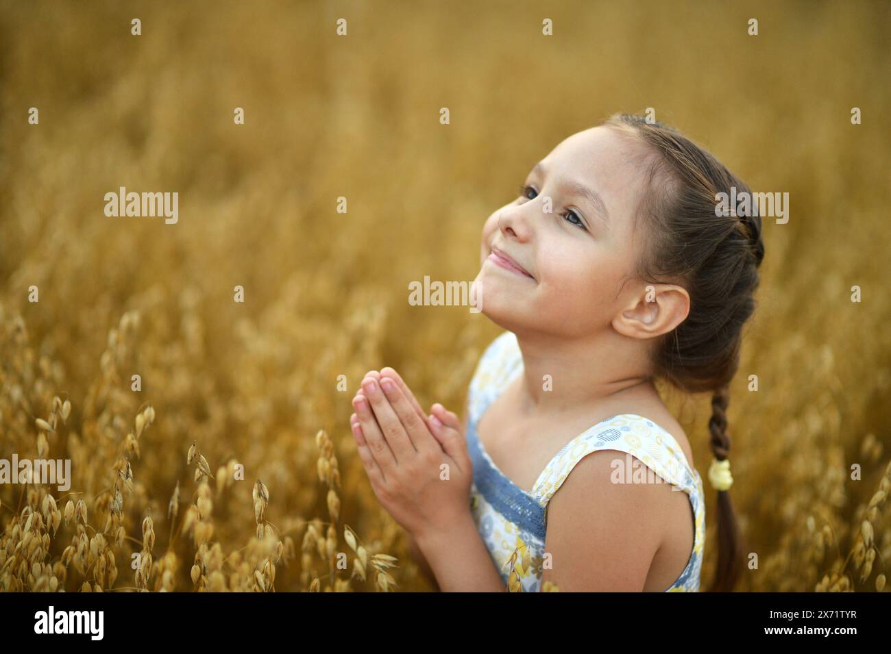 Cute little girl in the wheat field Stock Photo - Alamy
