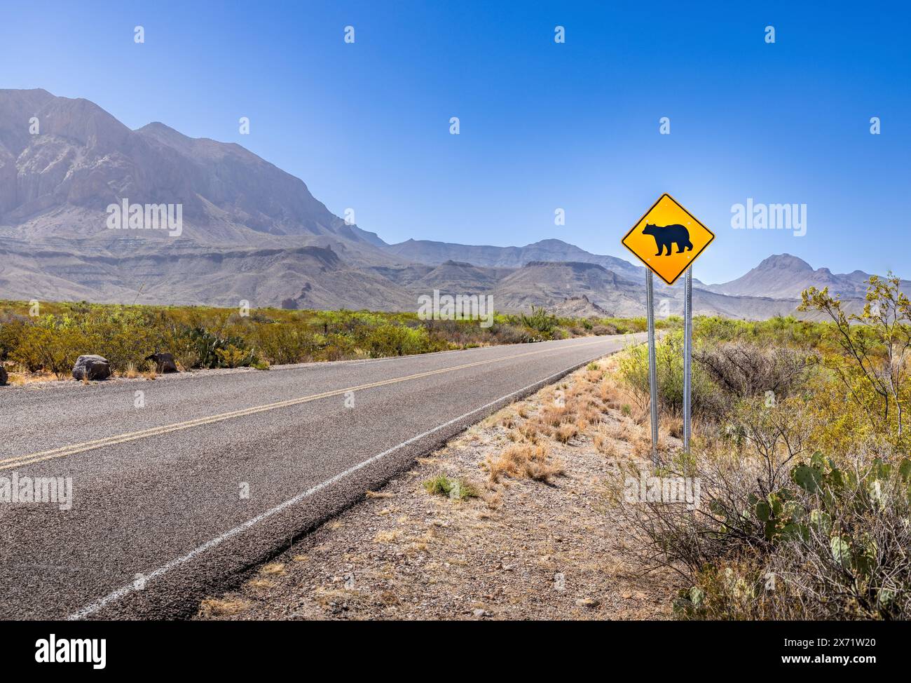 Road in the Big Bend National Park with a bear crossing sign Stock Photo