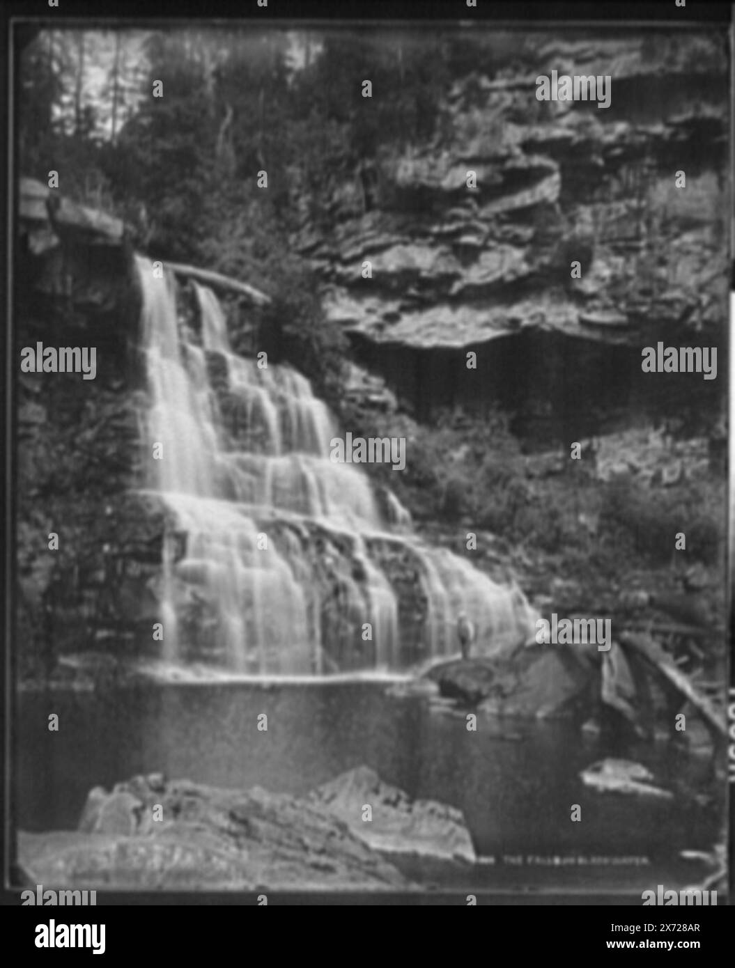 The falls of the Blackwater, Negatives form a three-part panorama., Negatives similar to LC-D43-1807., Listed in Detroit Publishing Co. negative log as no. 6114., '128 B' and '1805 center' on center negative; '01805' and 'right' on right negative., Right negative jacket title: 'The big falls, the Blackwater, West Va.', Commissioned by Baltimore & Ohio Railroad., Detroit Publishing Co. no. 01805., Detroit Publishing Co. panorama no. 06114., Gift; State Historical Society of Colorado; 1949,  Waterfalls. , Rivers. , United States, West Virginia, Blackwater River. , United States, West Virginia, D Stock Photo