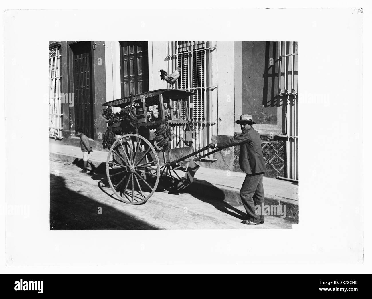 Fruit and poultry vendor, Title, date, and locale from Detroit, Catalogue P (1906)., Detroit Publishing Co. no. 09215., Gift; State Historical Society of Colorado; 1949,  Food vendors. , Carts & wagons. , Fruit. , Poultry. , Cuba, Havana. Stock Photo
