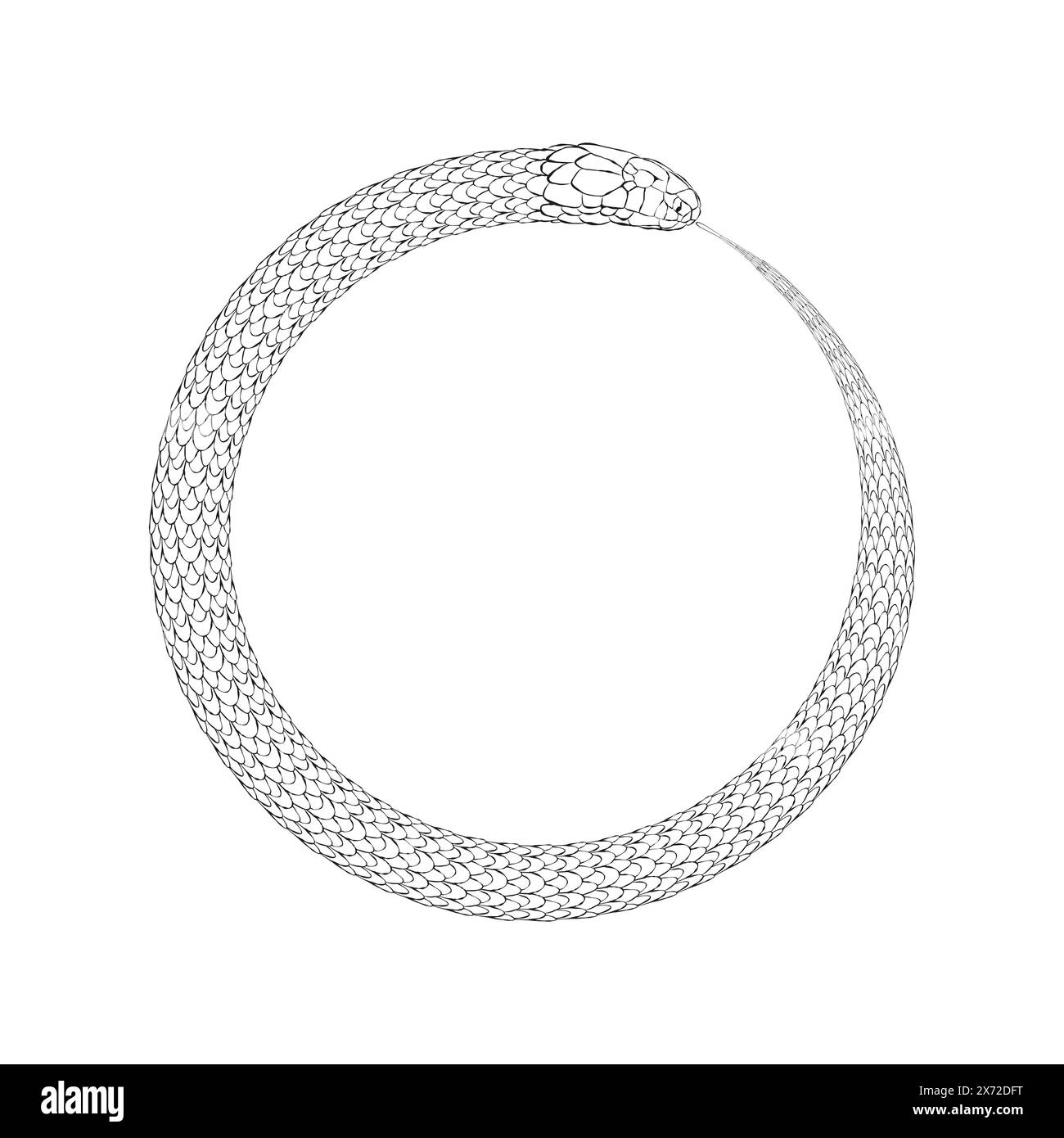 Ouroboros, linear snake, black symbol of the year 2025. Vector illustration isolated white background. Stock Vector