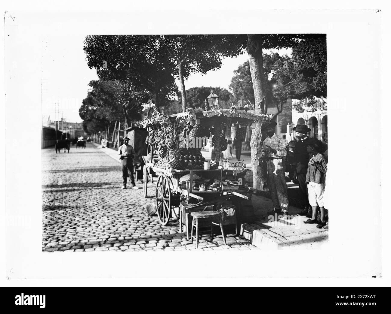 Fruit stands on the Prado, Title, date, and locale from Detroit, Catalogue P (1906)., Detroit Publishing Co. no. 09216., Gift; State Historical Society of Colorado; 1949,  Food vendors. , Fruit. , Carts & wagons. , Streets. , Cuba, Havana. Stock Photo