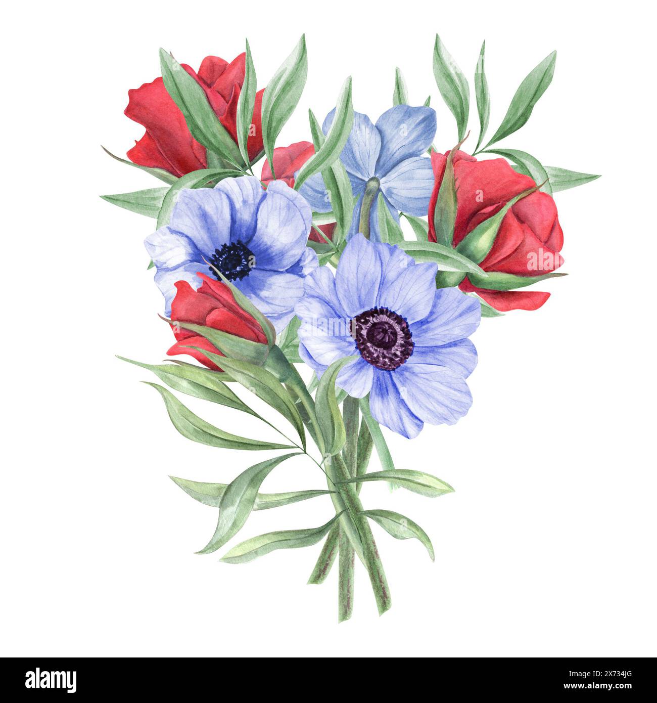 Floral bouquet in red blue colors. Roses, anemones with green eucalyptus leaves. Garden flowers. Watercolor illustration. For patriotic card Stock Photo