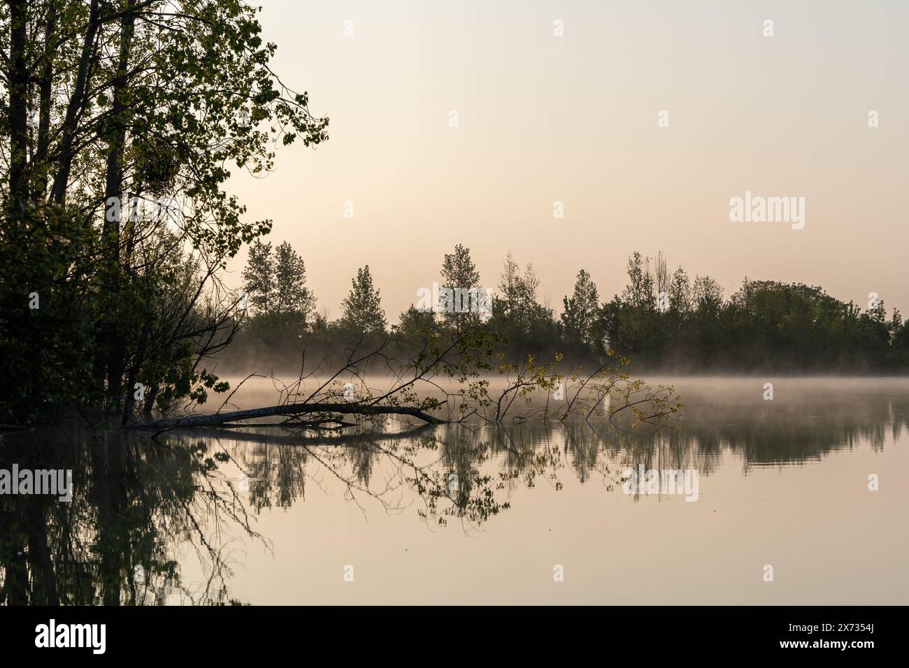 Misty Dawn Reflecting Over a Serene Lake Stock Photo - Alamy