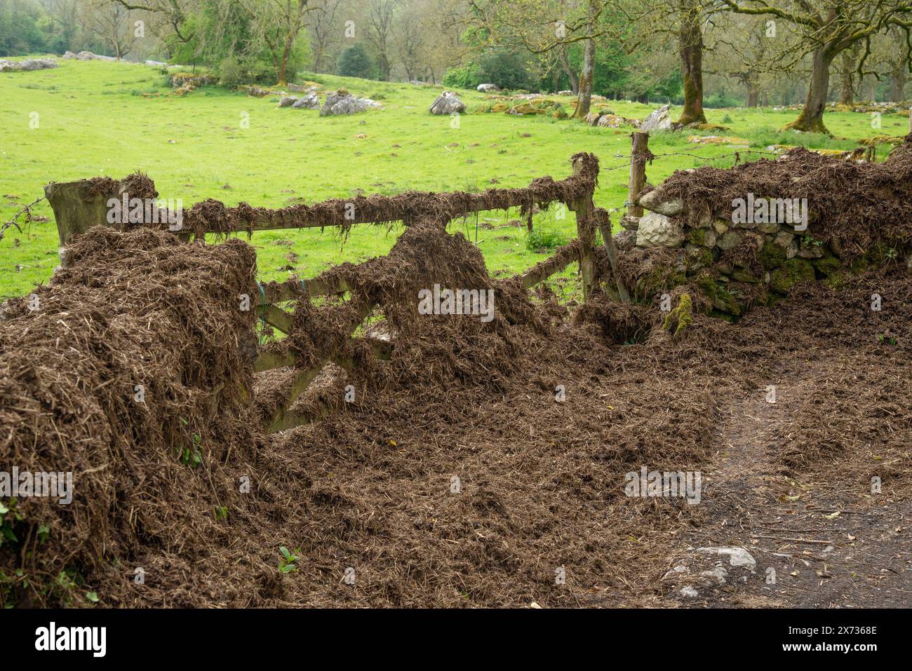 A gateway covered in farmyard manure, Carnforth, Lancashire, UK Stock Photo