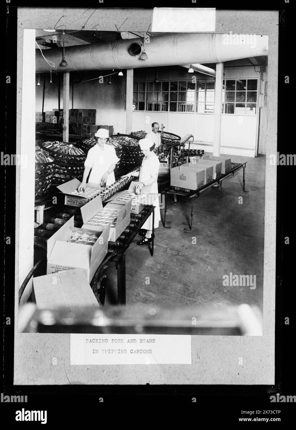 Packing pork and beans in shipping cartons, Probably related to negatives D420-2718 and D420-2782 to D420-2790., 'Beech-Nut brand' on carton., Detroit Publishing Co. no. K 2786., Gift; State Historical Society of Colorado; 1949,  Shipping. , Food industry. Stock Photo