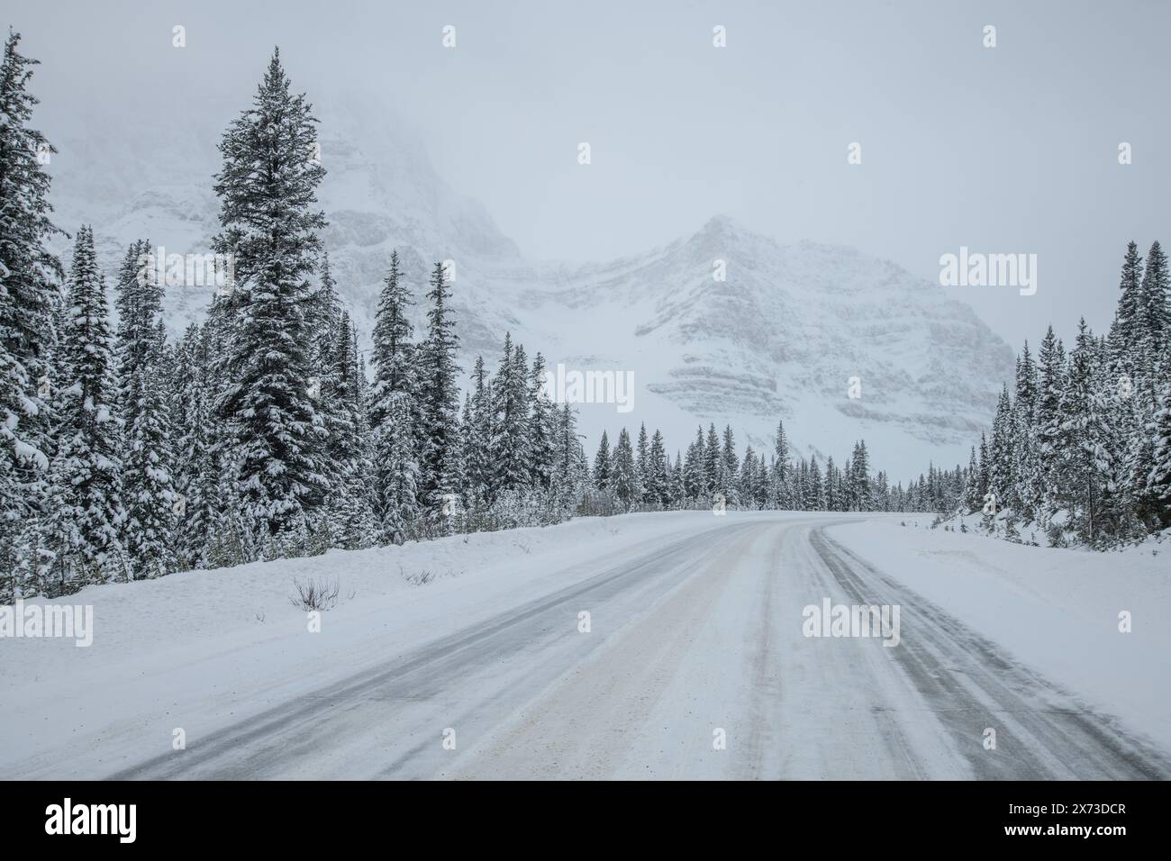 Canada, Alberta, Rocky Mountains, Banff, National Park, icefield Parkway Stock Photo