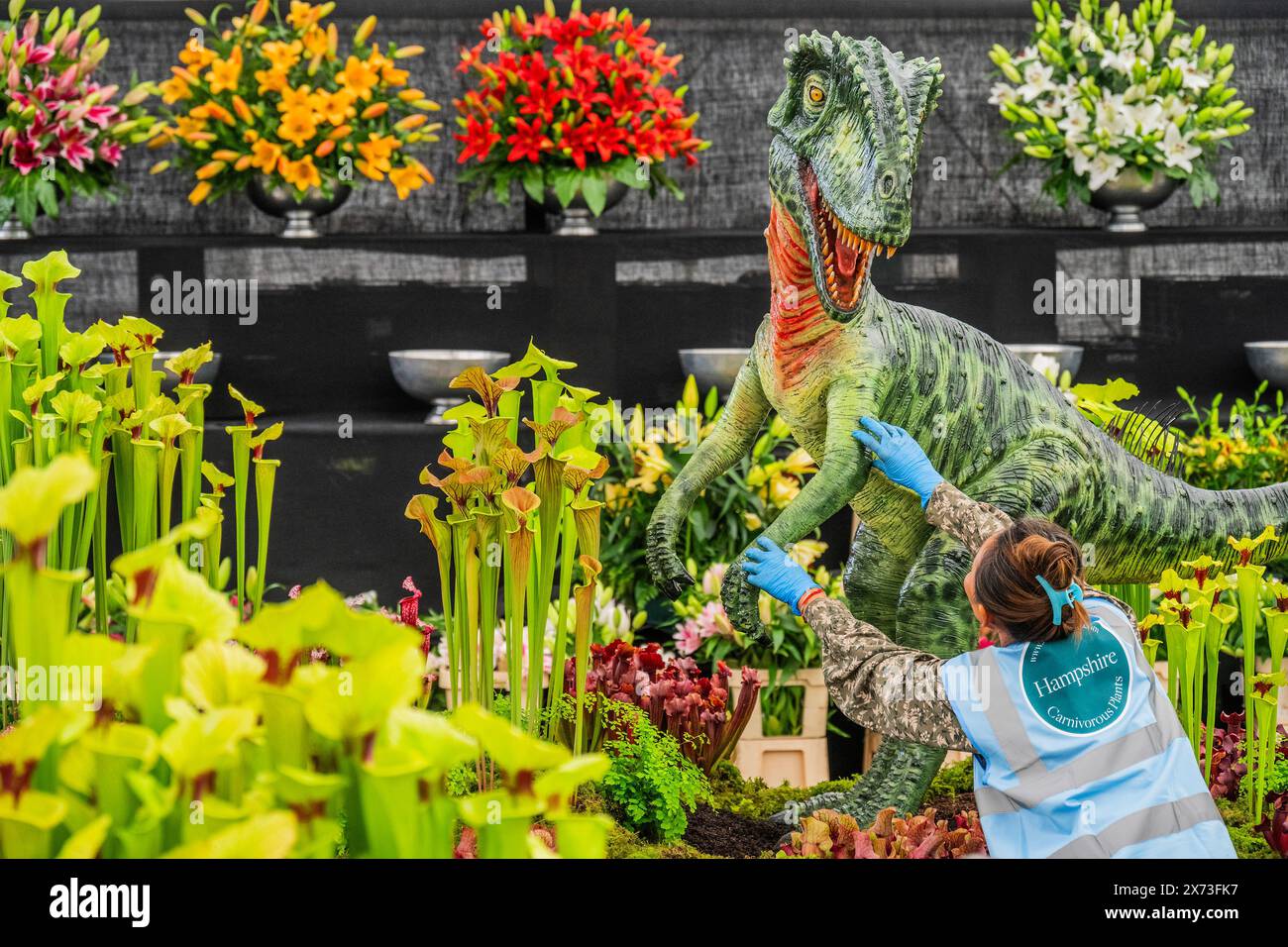 Hampshire carnivorous plants stand hi-res stock photography and images -  Alamy