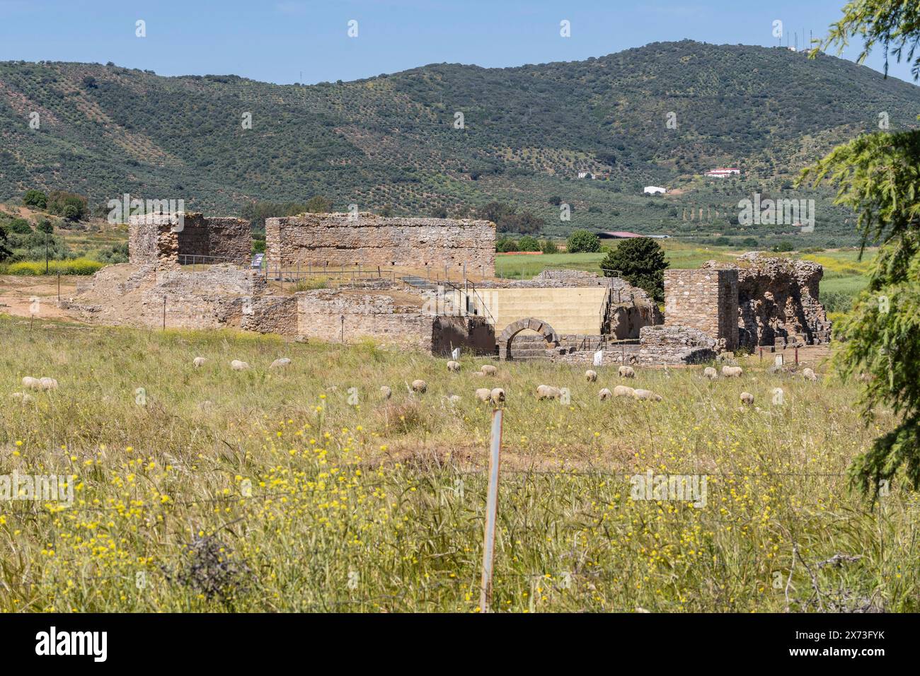 View of the Roman theater, Regina Turdulorum, Roman city, Casas de Reina, Estremadura province, Spain Stock Photo