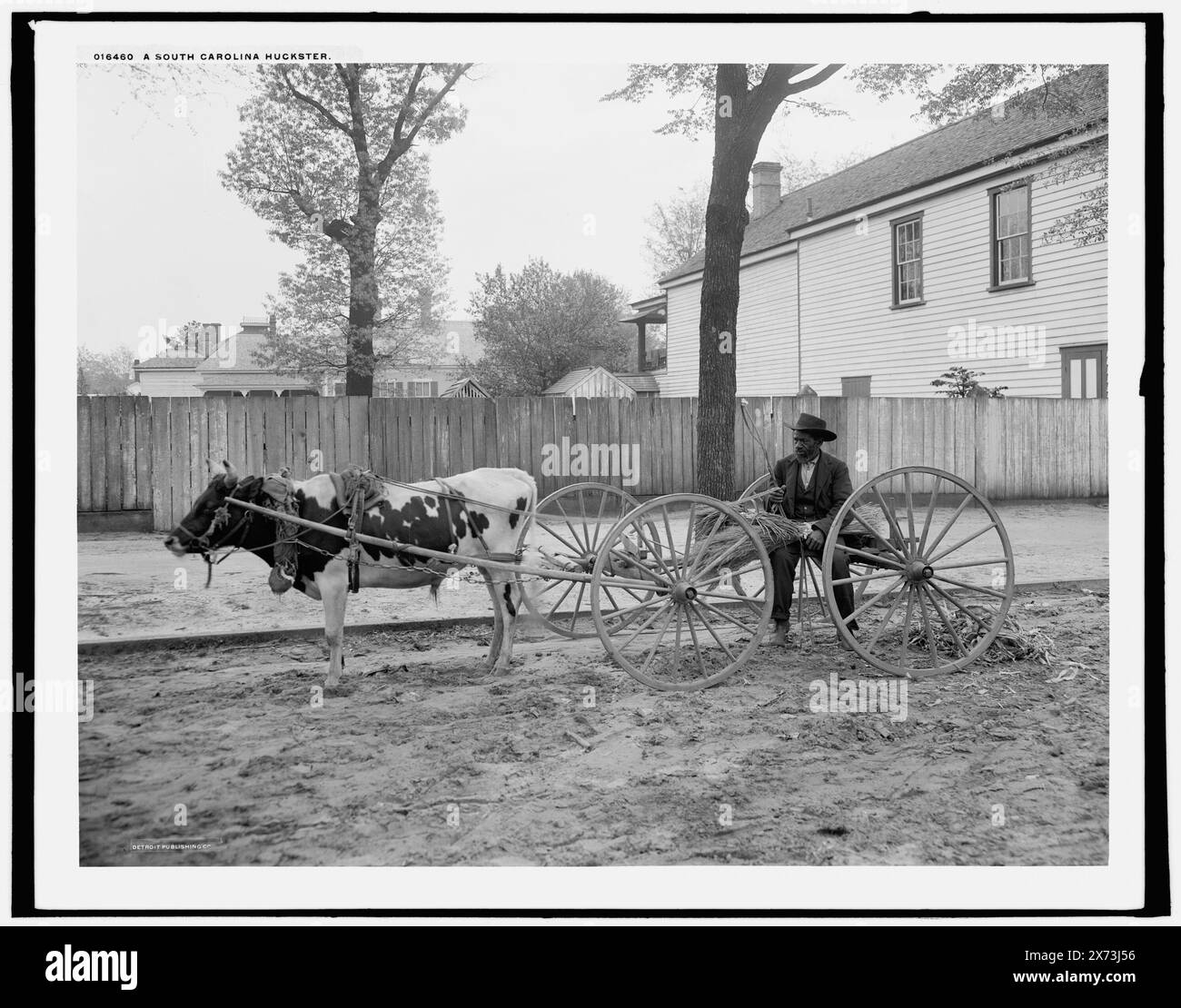 1906 USA Alabama postcard young African-Americans with wood cart 1906 USA Alabama postcard young African-Americans with wood cart