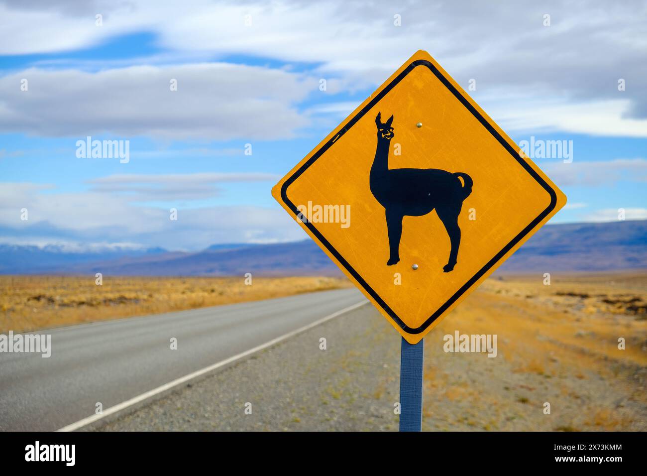 El Calafate Patagonia Argentina Road Sign Warning Of Guanacos Along el-calafate-patagonia-argentina-road-sign-warning-of-guanacos-along
