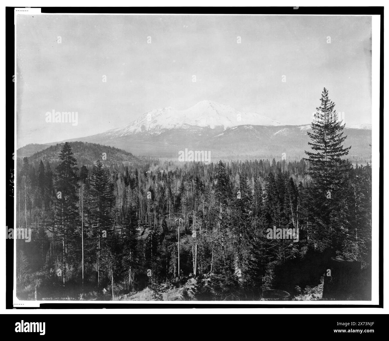 Mt. Shasta, Cal., 'Detroit Photographic Co.', Listed in Detroit, Catalogue F (1899)., Copyright deposit no. 61196., Detroit Publishing Co. no. 01325., Copyright deposit. State Historical Society of Colorado; 1949,  Mountains. , United States, California, Shasta, Mount. Stock Photo